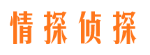 兰山侦探公司